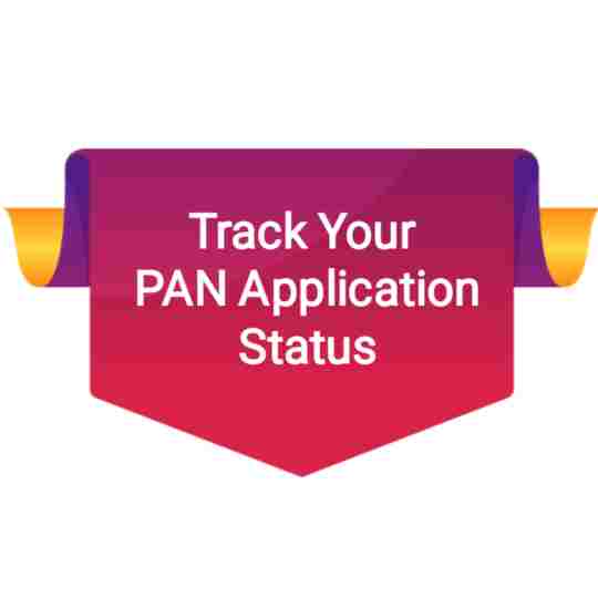 Check Status/ Download PAN